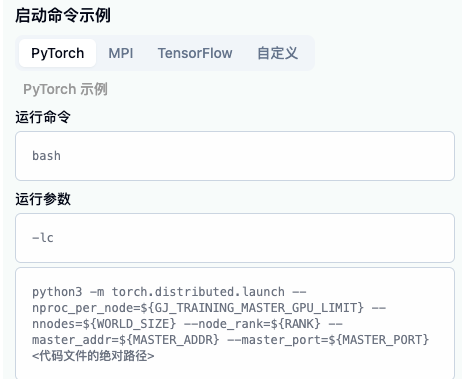 PyTorch 启动命令示例，运行命令为 bash，运行参数以 -lc 开头
