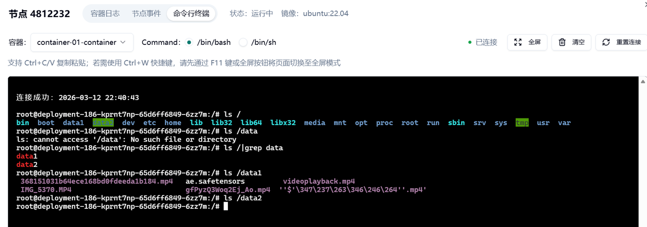 终端中查看存储挂载